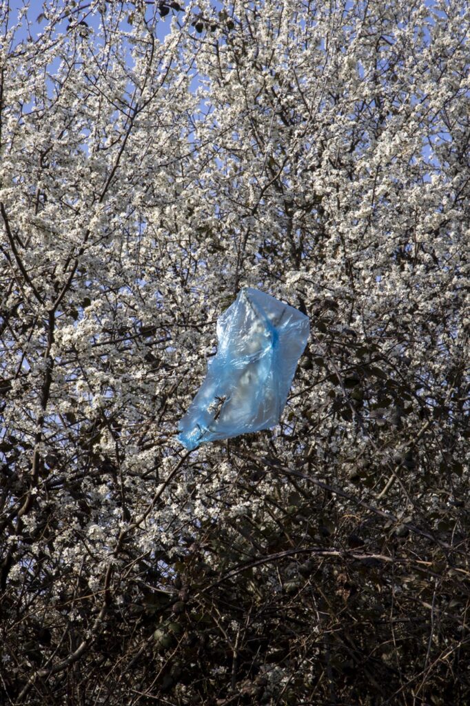 Printemps